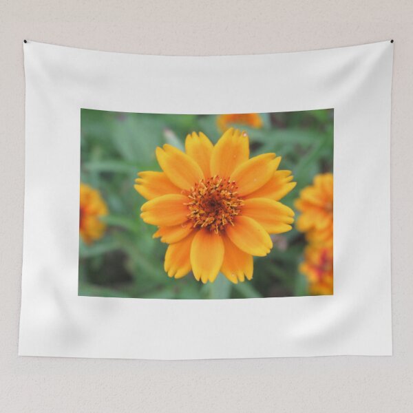 Item preview, wonderful orange flower, marigold, nature designed and sold by rhnaturestyles.