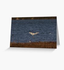 Egret Landing Greeting Card
