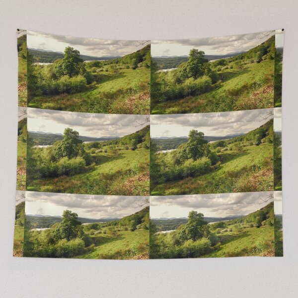 Item preview, View of Lake Windermere. designed and sold by Billlee.