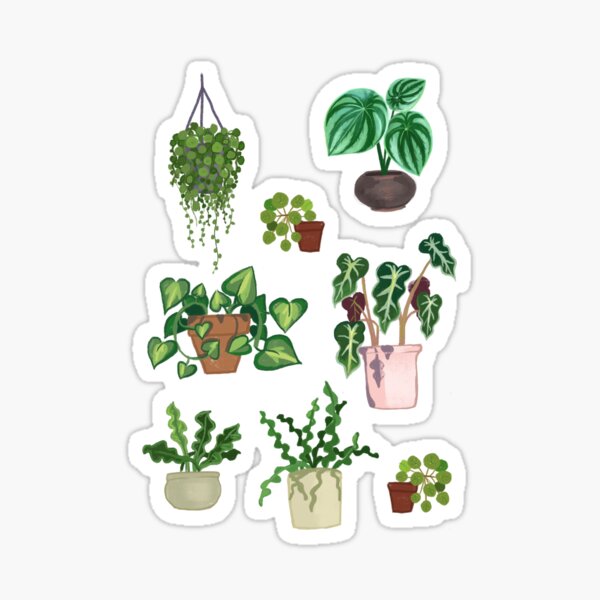 Planttern Sticker