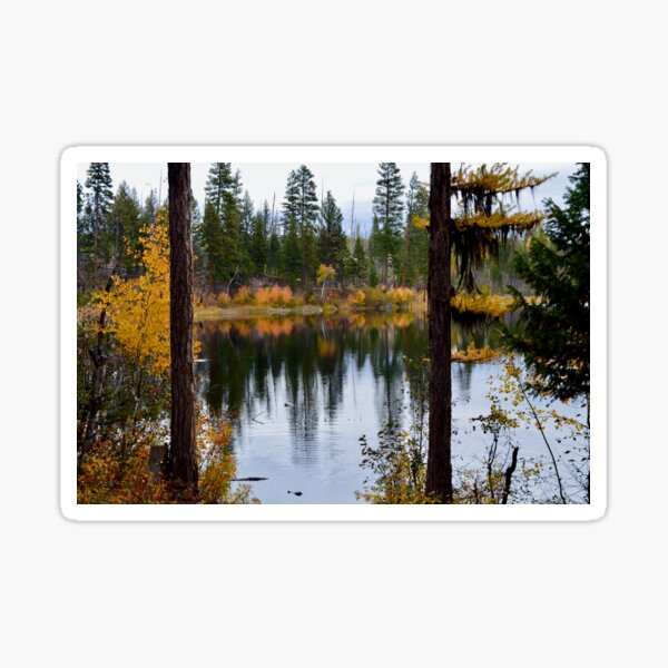 Vibrant Fall Forest Sticker