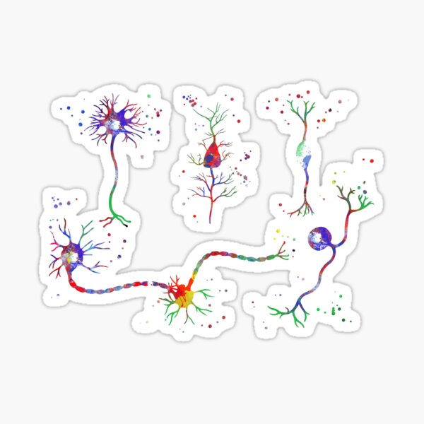Neuron cells, neurology poster, medical art, watercolor neuron cells Sticker