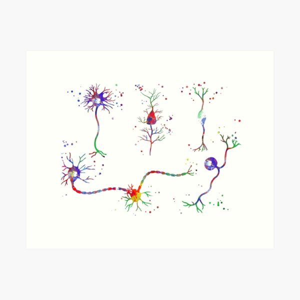 Item preview, Neuron cells, neurology poster, medical art, watercolor neuron cells designed and sold by Rosaliartbook.