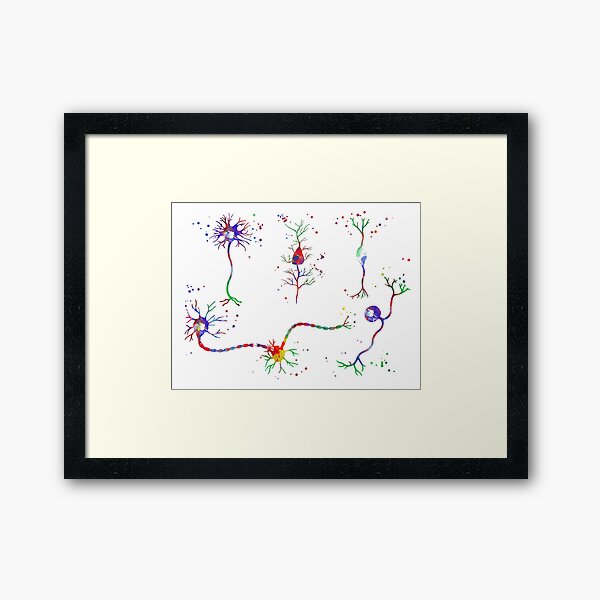 Neuron cells, neurology poster, medical art, watercolor neuron cells Framed Art Print