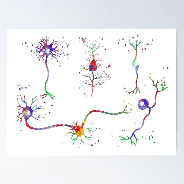 Vista previa del artículo con la obra «Células de neuronas, póster de neurología, arte médico, células de neuronas de acuarela», diseñado y vendido por Rosaliartbook.