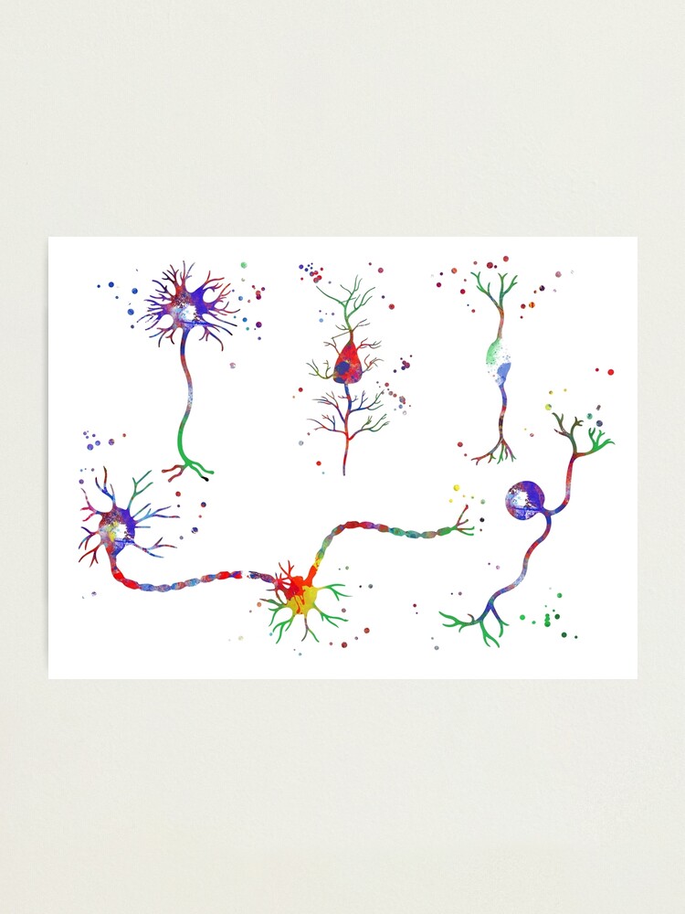 Neuron Types Art Watercolor Print Motor Medical Art Neurologist Cabinet Office 