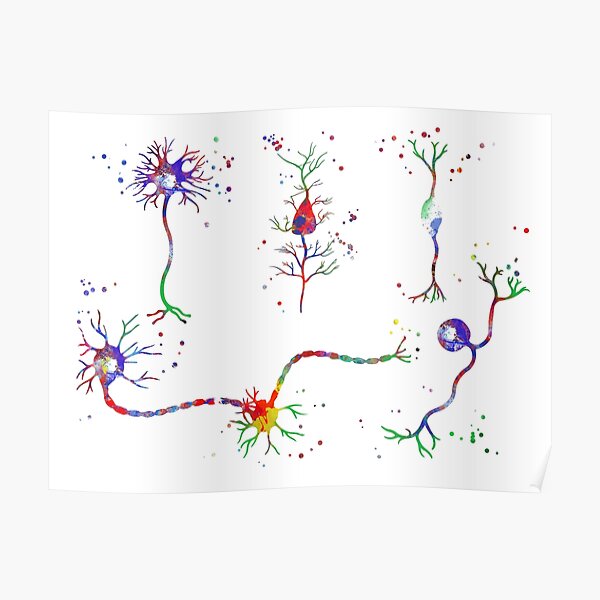 Brain Circuit Watercolor Print Medical Art Science Art Geek Neurologist Clinic