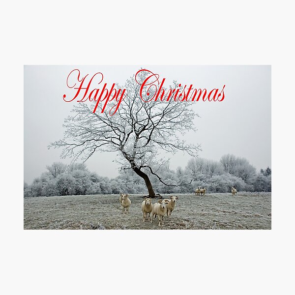 Item preview, Christmas sheep designed and sold by woolleyfir.