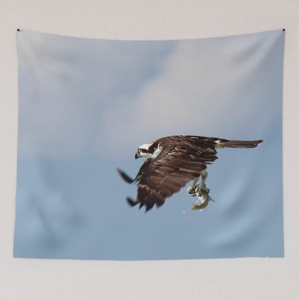 Item preview, Seafood Catch designed and sold by Bob Hardy.