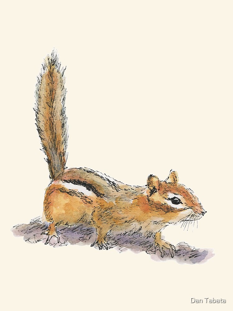 Curious Chipmunk by dmtab
