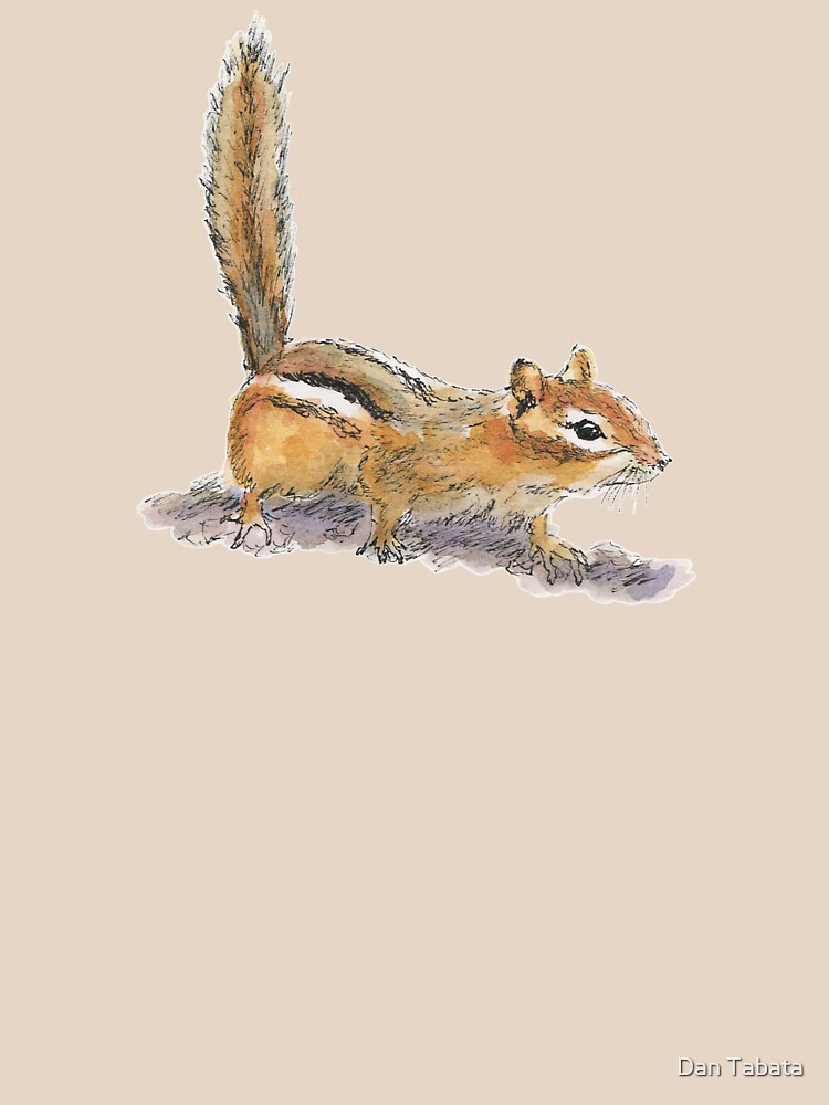 Curious Chipmunk by dmtab