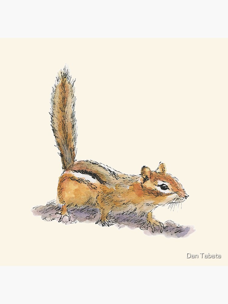 Curious Chipmunk by dmtab