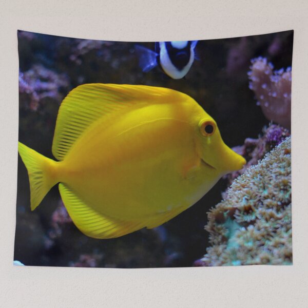 Item preview, Yellow tang tropical fish designed and sold by Asiantiger247.