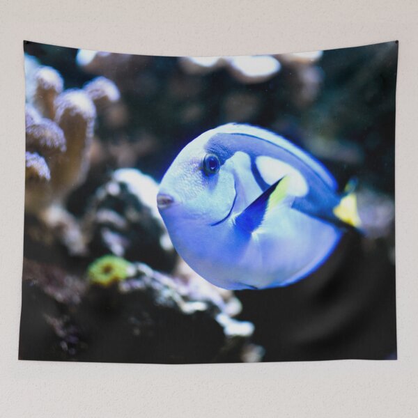 Item preview, Blue tang tropical fish designed and sold by Asiantiger247.