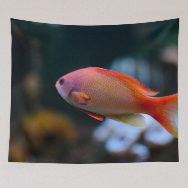 Item preview, Orange tropical fish designed and sold by Asiantiger247.