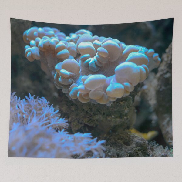 Item preview, Bubbly Coral designed and sold by Asiantiger247.