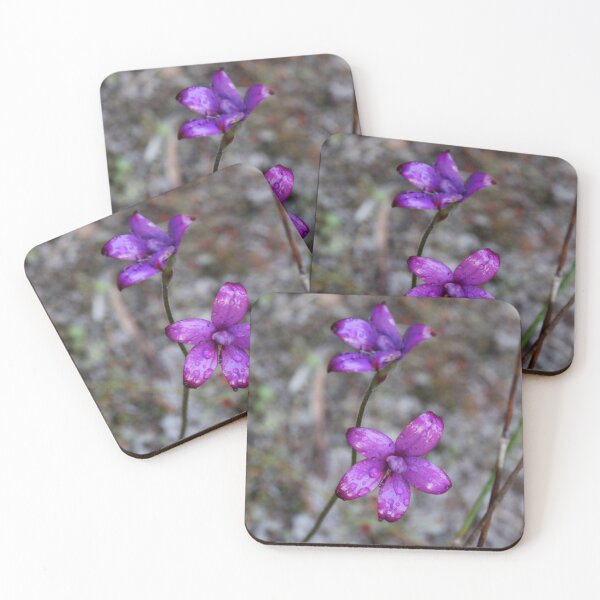 Item preview, Floral Mixture - to Celebrate the Women's Movement designed and sold by STHogan.