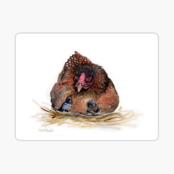 Hen and chickens Sticker