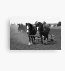 TWO TEAMS Canvas Print