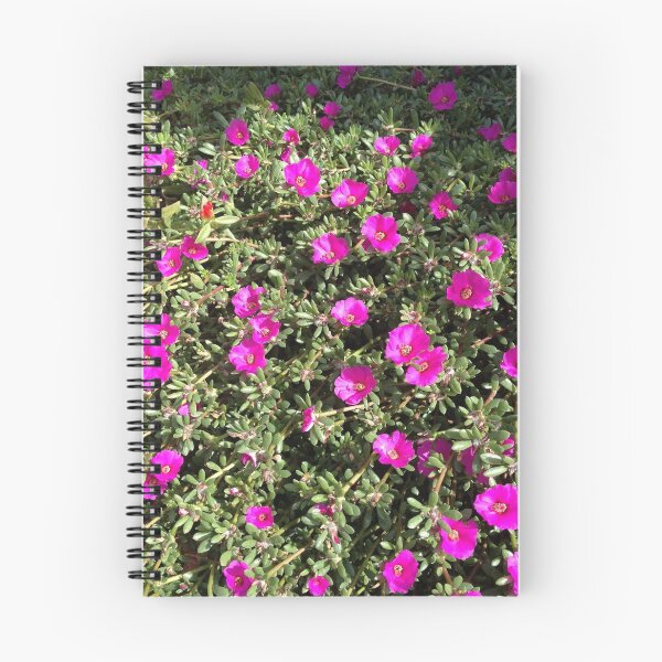 Item preview, Magenta Portulaca Grandiflora Succulent Flowers designed and sold by taiche.