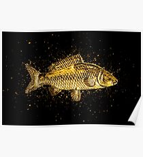 Animal carp golden Gold Poster