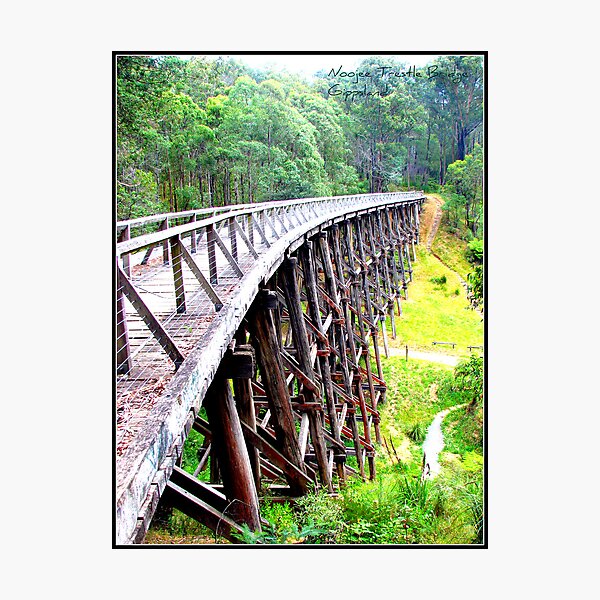 Item preview, Noojee Trestle Bridge designed and sold by mrsnatetah.