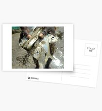 ....a handful of fish Postcards