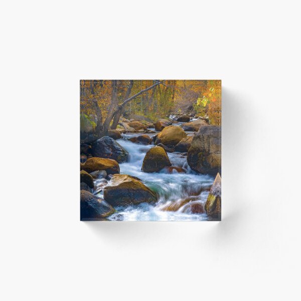 Bishop Creek Fall Colors South Fork Acrylic Block