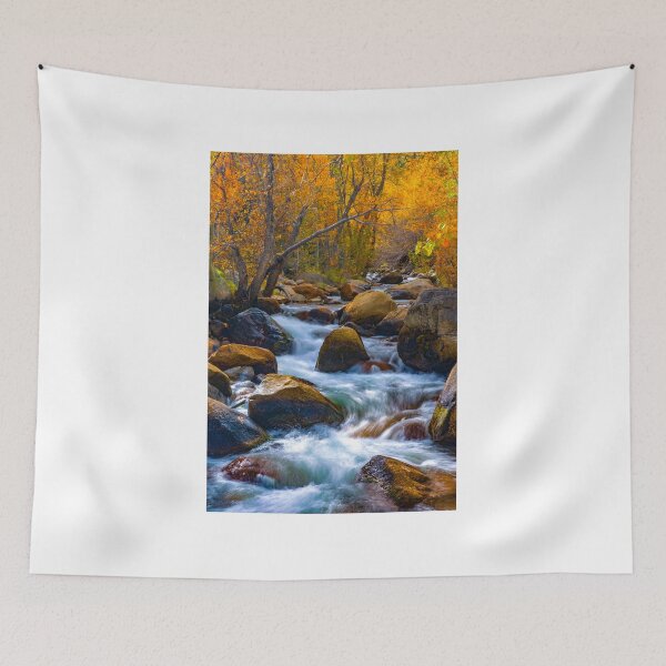 Item preview, Bishop Creek Fall Colors South Fork designed and sold by photosbyflood.