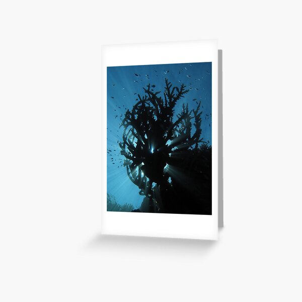 Staghorn Silhouette I Greeting Card