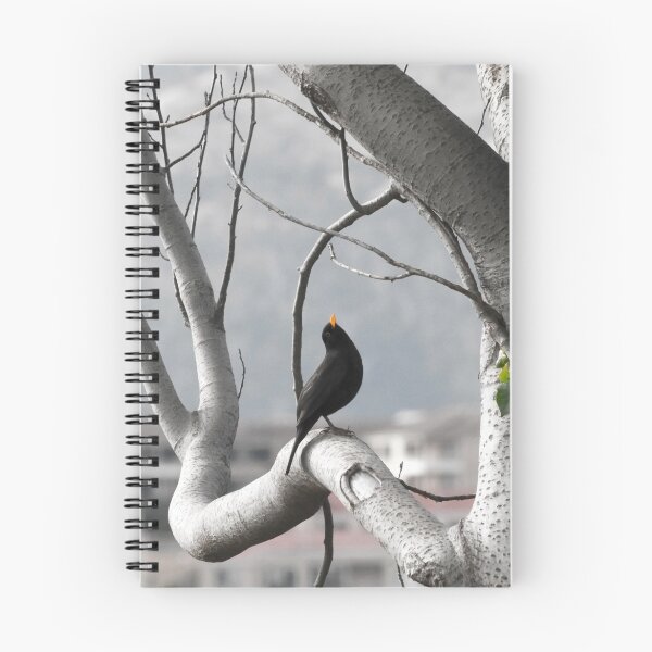 Item preview, Morning Song designed and sold by Anthony Davey.
