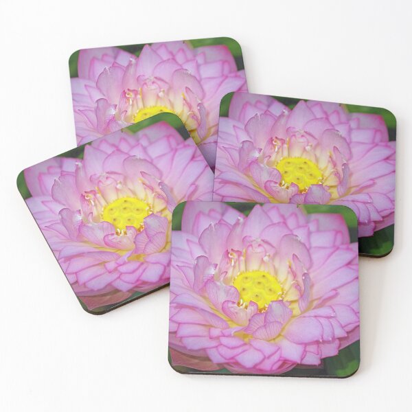 Item preview, Lotus Flower designed and sold by PromoteProgress.