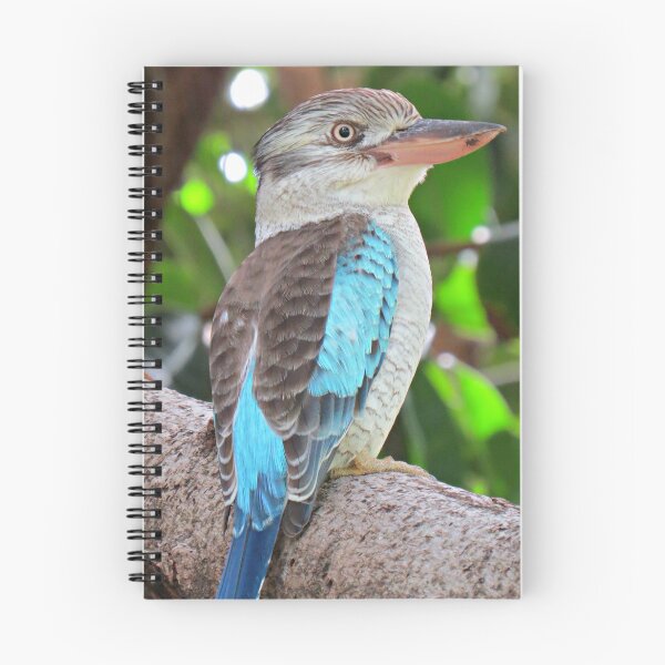 Item preview, Blue Winged Kookaburra 3 designed and sold by Genevieve Hanlon Art and Photography.
