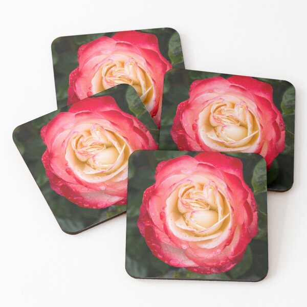 Item preview, Rose and Rain - Pinks and Creams and Whites designed and sold by Georgia Mizuleva.