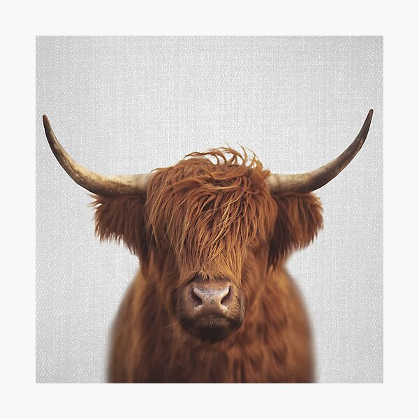 Item preview, Vache Highland - Colorée designed and sold by galdesign.