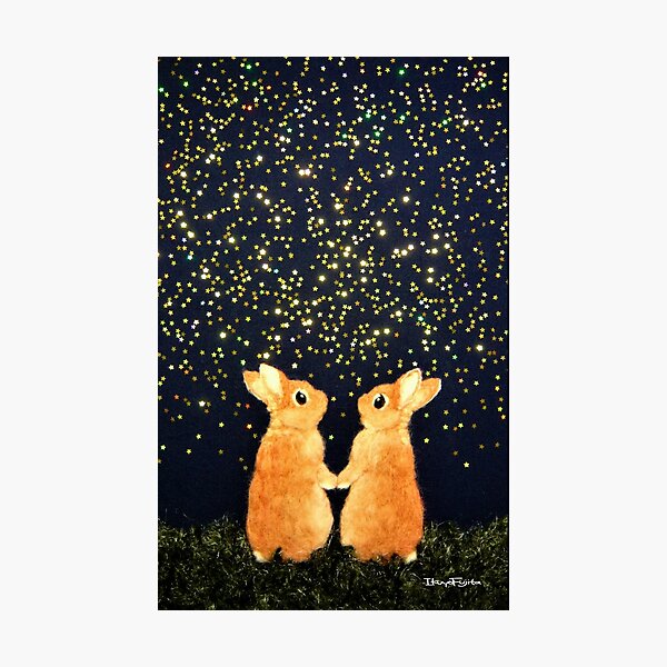 looking for shooting stars (2008) Rabbit / Bunny Art Photographic Print