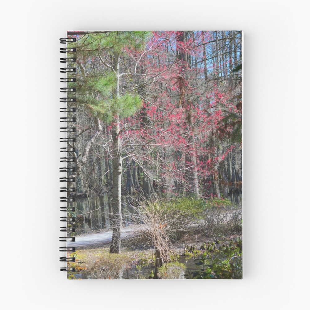 Item preview, Spiral Notebook designed and sold by AlixCollins.