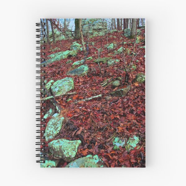 Item preview, Emerald Native Path,  Kings Bluff Pedestal Rock, NW Arkansas. designed and sold by NatureGreeting Cards ©ccwri.
