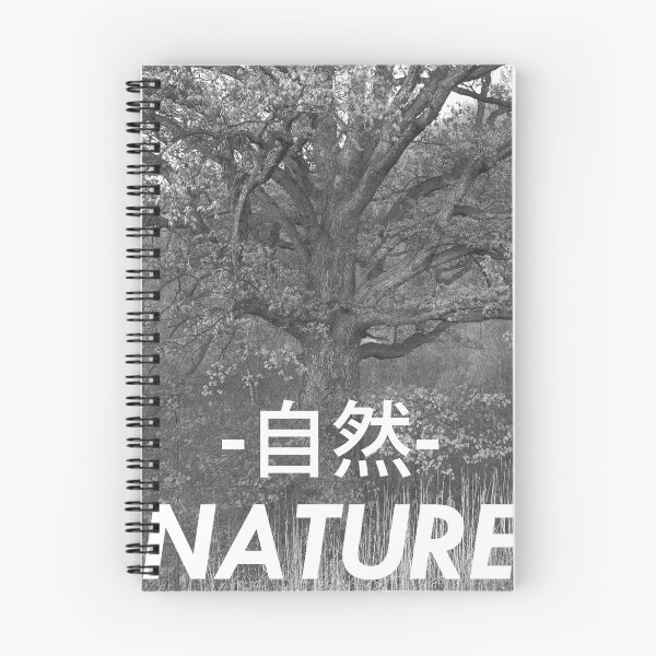 Item preview.