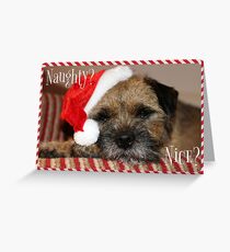 Border Terrier Christmas Card - Naughty? Nice? Greeting Card
