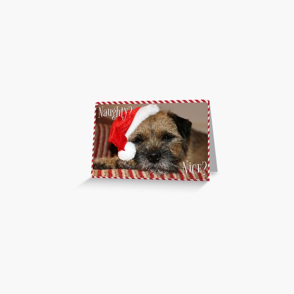 Border Terrier Christmas Card - Naughty? Nice? Greeting Card