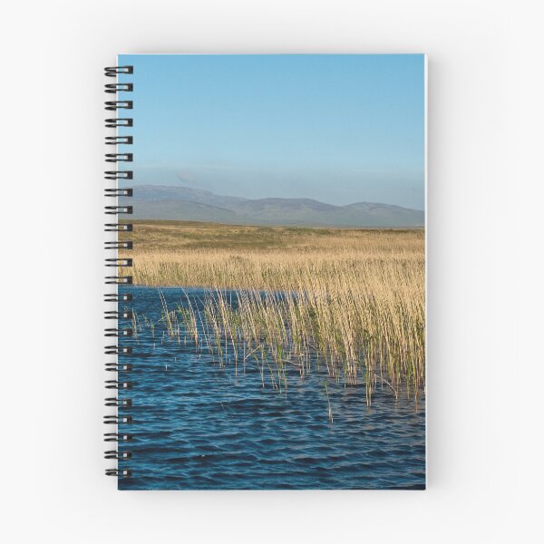 Item preview, Islay: Reeds On the Loch designed and sold by Kasia Design.