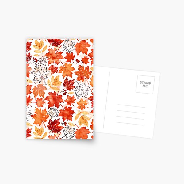 Autumn leaves and berries Postcard