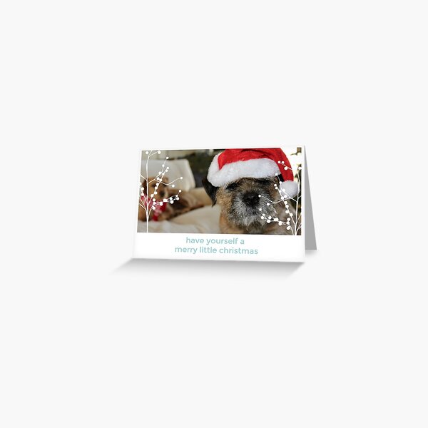Border Terrier Christmas Card - Have Yourself A Merry Little Christmas Greeting Card