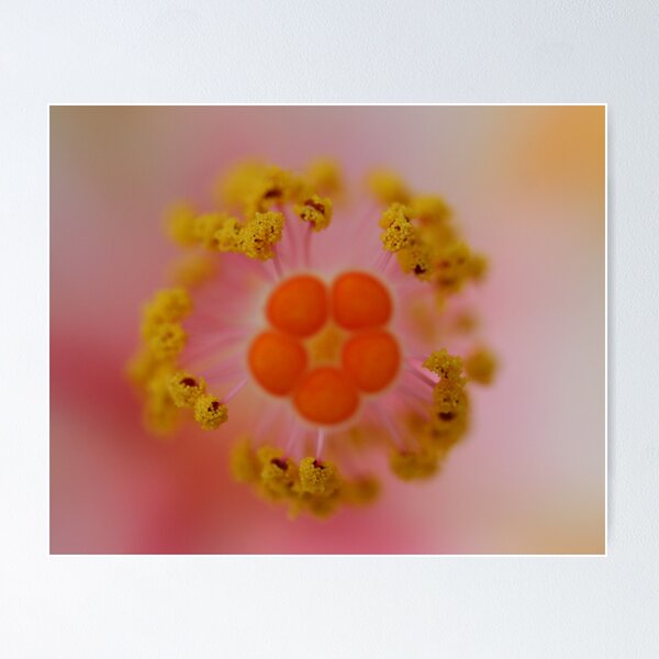Item preview, Stigma,colours and stamens designed and sold by andrachne.
