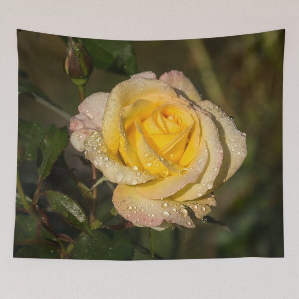 Item preview, Rose and Rain - a Gleaming Fragrant Blend of Yellow and Pink designed and sold by Georgia Mizuleva.