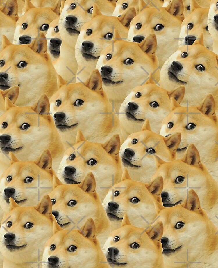 Doge WOW Pattern Shiba Inu Doggo dog meme montage HD High Quality Online  Store