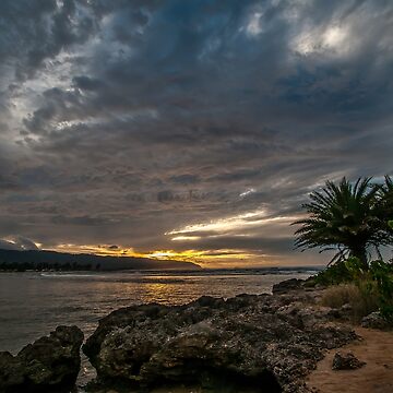 Artwork thumbnail, The island goes to sleep. by ROBERT NIEDERRITER