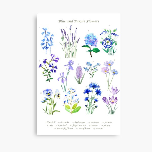 blue and purple flower collection watercolor Canvas Print