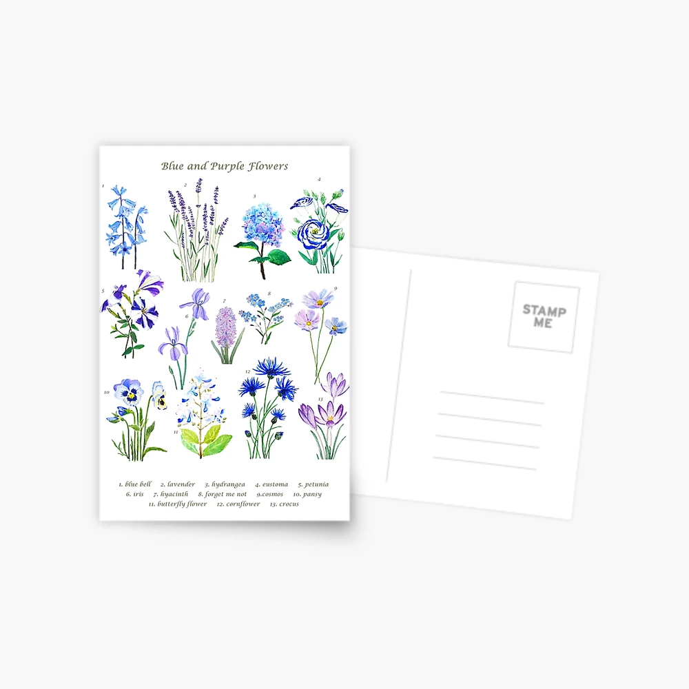 blue forget me not flowers 2021 watercolor  Postcard for Sale by  ColorandColor